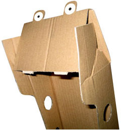 this is a boxdoodle.